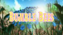 Bumble Bees