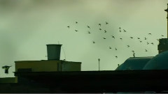 影视原声 - 电影<危机13小时>预告