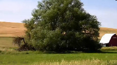 风景 - Beauty Of Palouse WA July 2015