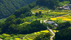 悲しい水(日本信州梯田美景)