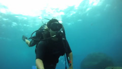 Fernando De Noronha PE Abril 2014