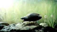 The Mill 甲壳虫汽车广告制作花絮