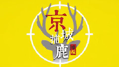 鹿晗 - 京城捕鹿播报