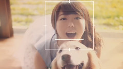 さよならサーフボード