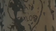 Taylor Swift - Blank Space