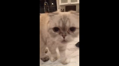 Taylor Swift - 看完好心酸...