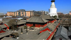 民乐群星 - 古城新貌