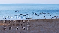 Calvin Harris,Disciple - How Deep Is Your Love