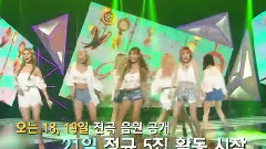 正规5辑回归报道