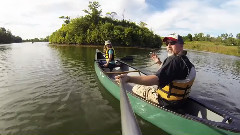 Saturday Afternoon In The Park
