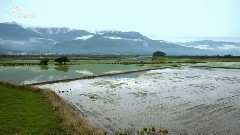 四季乐色 夏日山居图
