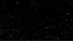 美丽的化学反应降水