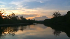 Mr Subramanian Wetland Park Was Born