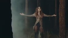 Shoot Out the Lights