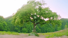 乃木坂46 - 太陽ノック