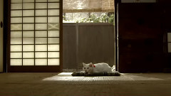 <猫侍 Season2>主題歌特別PV