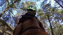 GoPro Amber The Downhill Dog
