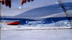 Dreaming Alone Feeling Together