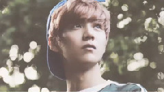 美颜即正义 鹿晗德国写真图频混剪 舔屏向