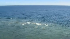 邓丽君,音乐短片 - 南海姑娘