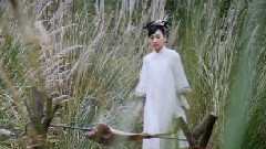 若曦初遇十四阿哥