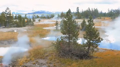The Amazing Yellowstone National Park