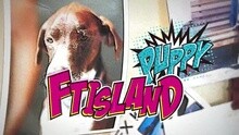 ft island - PUPPY MV制作花絮