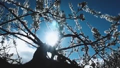 Tranceterdam (Original Mix)