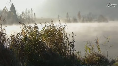 Nocturne No 20 In C-sharp Minor