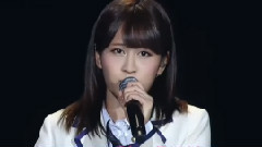 樱の花びらたち