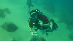 Please Don Drink Dive