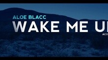 Aloe Blacc - Wake Me Up