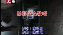 许美静 - 听那星光歌唱