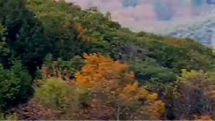 THE BEAUTY OF AUTUMN