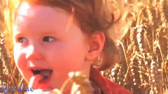 Beautiful Moments Of Life (Original Mix)