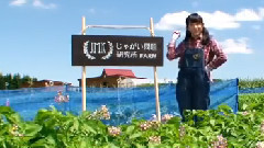 じゃがい問題研究所 AKB48川本紗矢のPOTATO LIFE 2