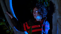 Sorority Pillow Fight!