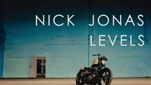 Nick Jonas - Levels