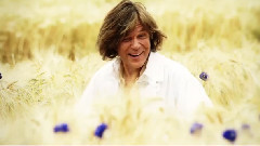 Jurgen Drews Kornblumen Extra Long Version