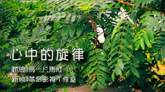 华语童星 - 心中的旋律