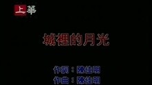 许美静 - 城里的月光