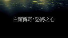 电影<白鲸传奇 怒海之心>最新中文预告