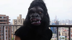 The Guerrilla Girls, After 3 Decades,Still Rattling Art World Cages