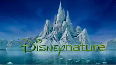 电影<猴子王国>预告片2