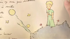 电影<小王子>先行版预告片2