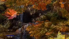 Secret Garden - Reflection