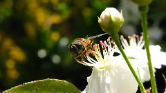 春风吻上我的脸