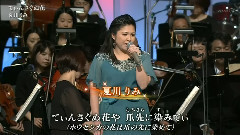 てぃんさぐぬ花