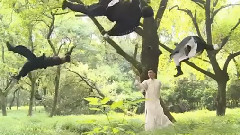 王宝强 - 电影<道士下山> IMAX群星采访特辑