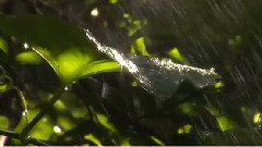 Giovanni Marradi,音乐短片,轻音乐,风景 - Garden of Dreams